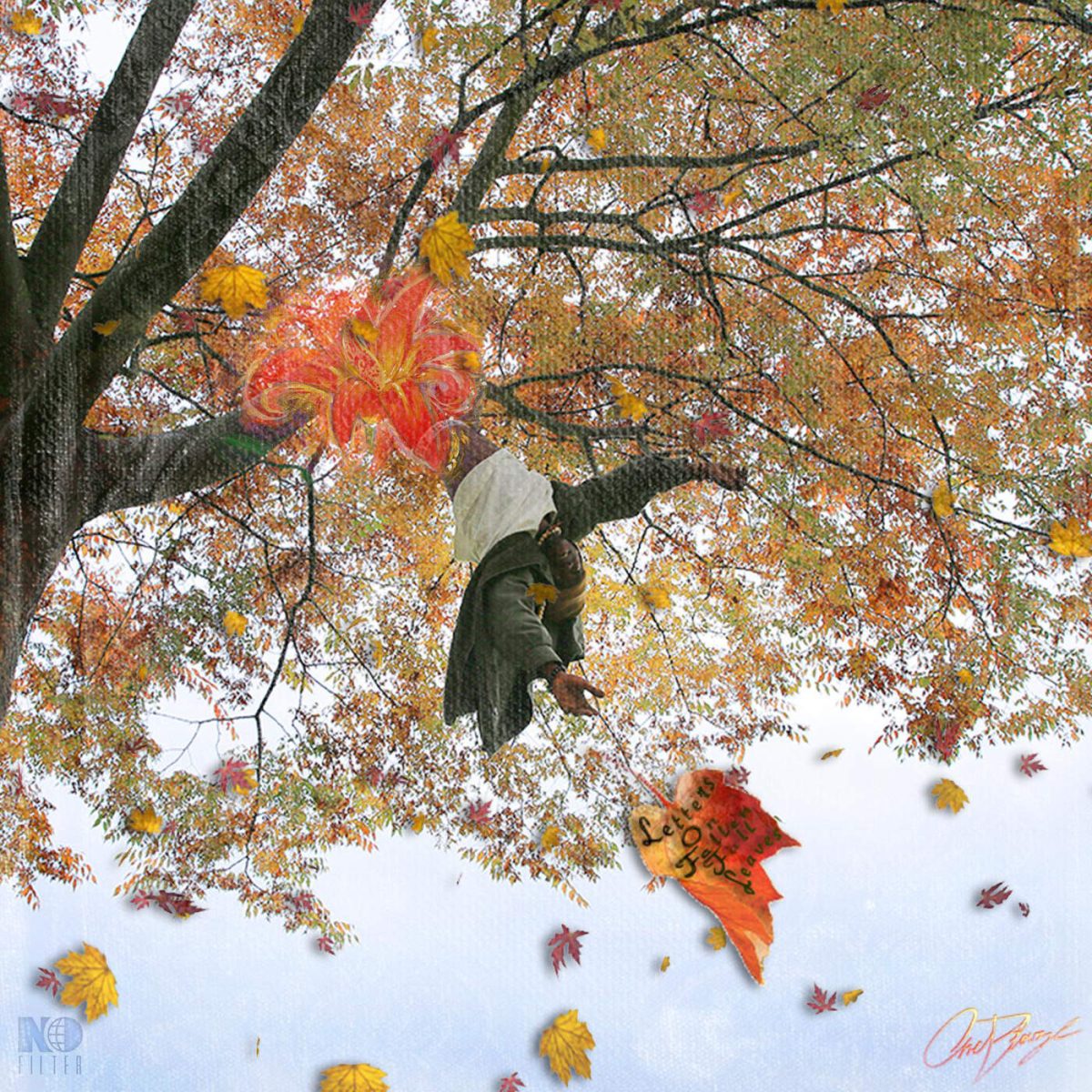 Letters on Fallen Fall Leaves